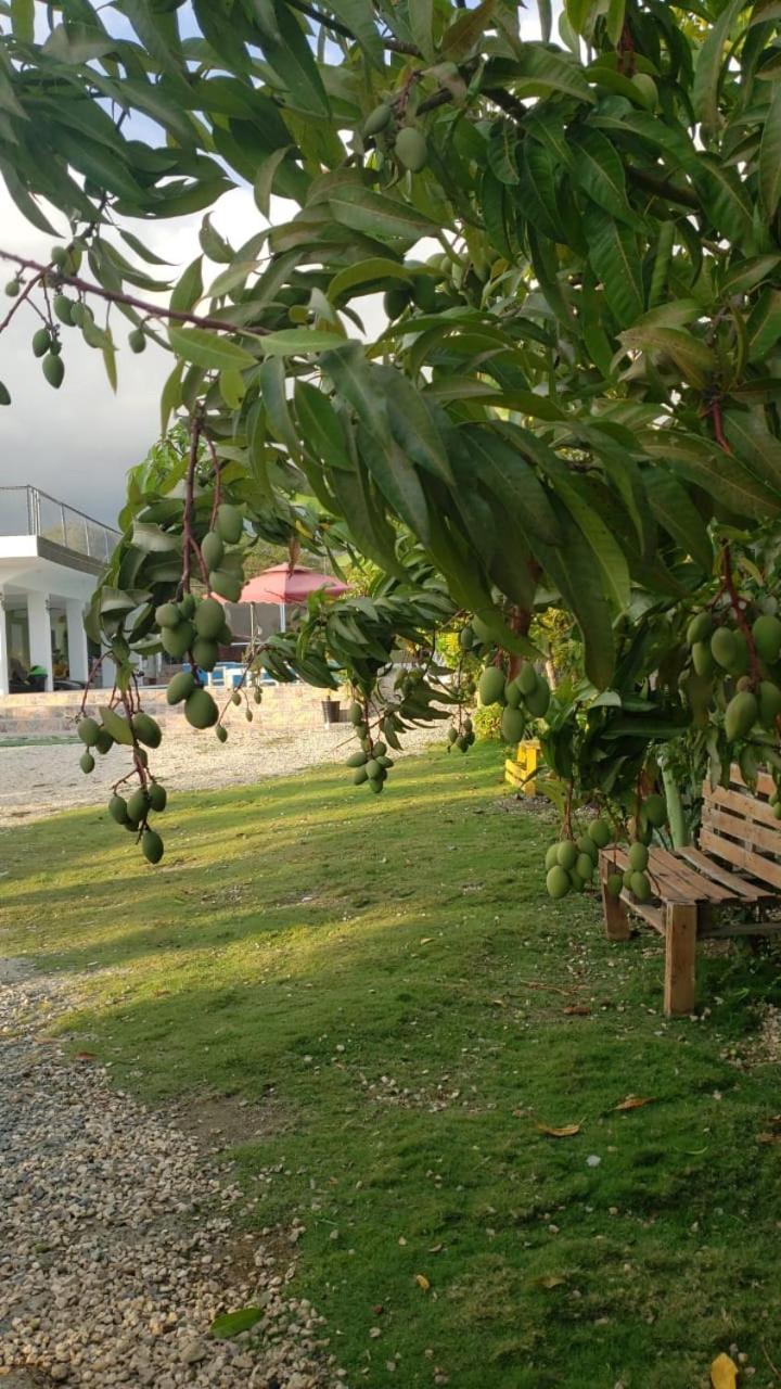 Casa De Campo Nerys SJM Екстериор снимка